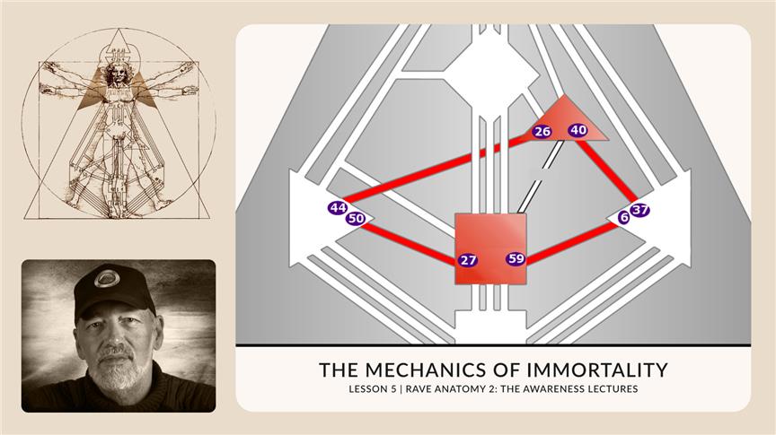 The Mechanics of Immortality | RA2.5