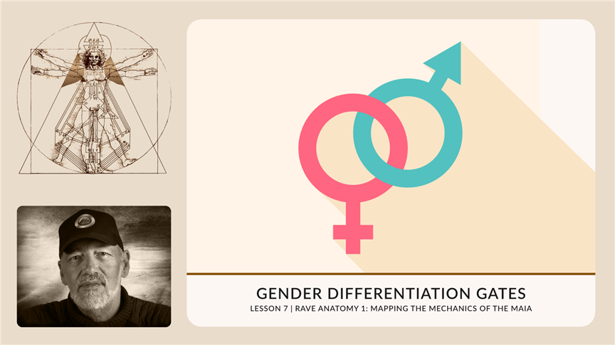 Gender Differentiation Gates | RA1.7