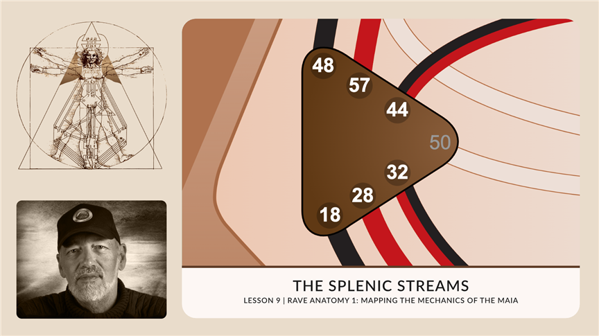 The Splenic Streams | RA1.9